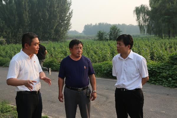 ��ί��ǡ���������ί��������Ƶ����������